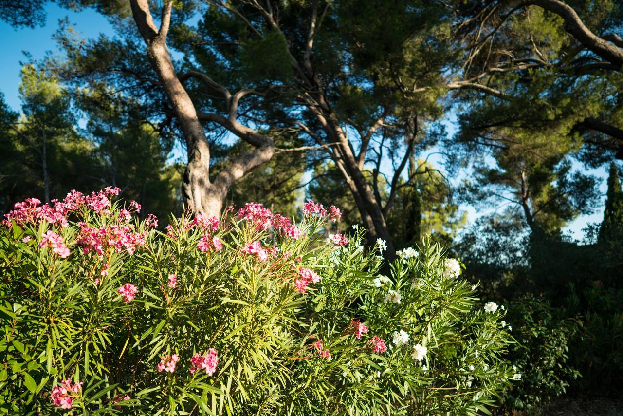 Domaine De Saint Clair Bed & Breakfast Aix-en-Provence Luaran gambar