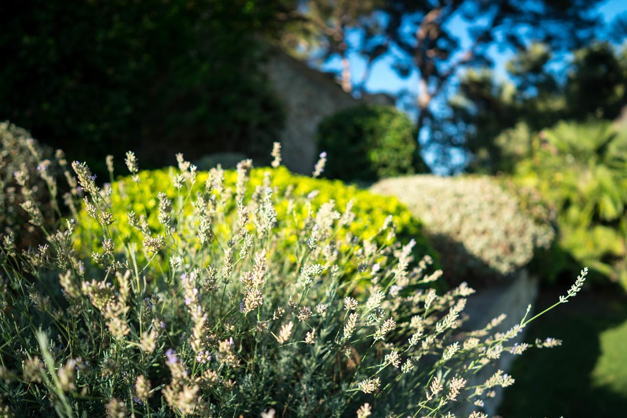 Domaine De Saint Clair Bed & Breakfast Aix-en-Provence Luaran gambar