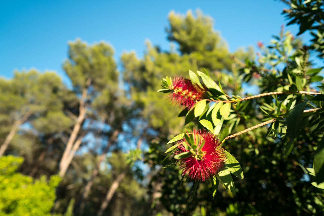 Domaine De Saint Clair Bed & Breakfast Aix-en-Provence Luaran gambar